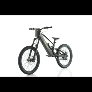 Azonic Elite 24 - 48V/15AH/1000W