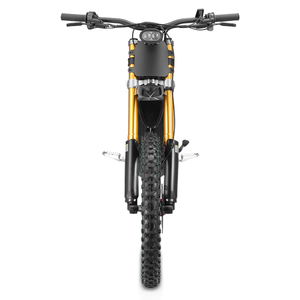 Vectron V1 Electric Dirt Bike