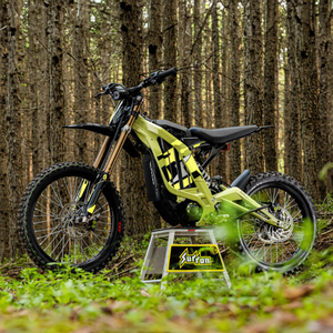 SUR-RON Light Bee X 2025 Edition