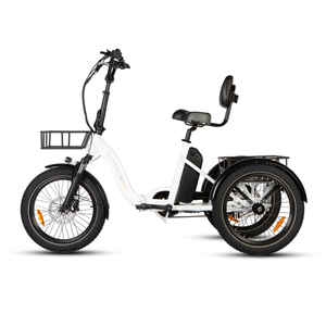 EUNORAU One Trike 2.0