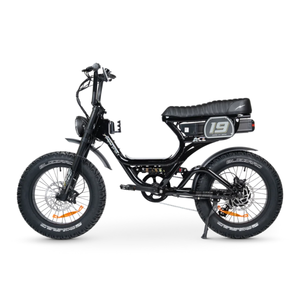 ACE PRO Electric Bike Step Through - Series 5