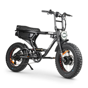 ACE-X Demon Dual Electric Bike