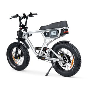 ACE-X PRO Electric Bike - ACE Series 5