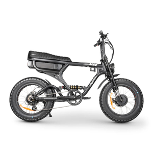 ACE-X Demon Dual Electric Bike