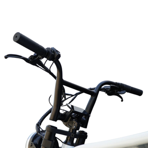 Fatfish Grime Fat Tyre E-Bike