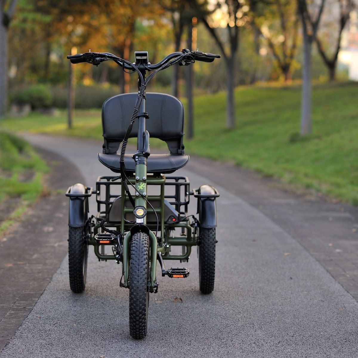 Skink E-Trike Low-Step 48V/15Ah 250W