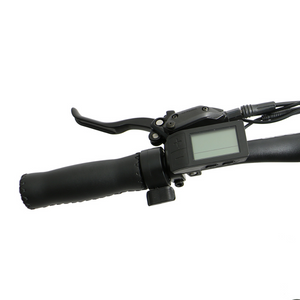 UHVO Full Suspension 350w E-Bike