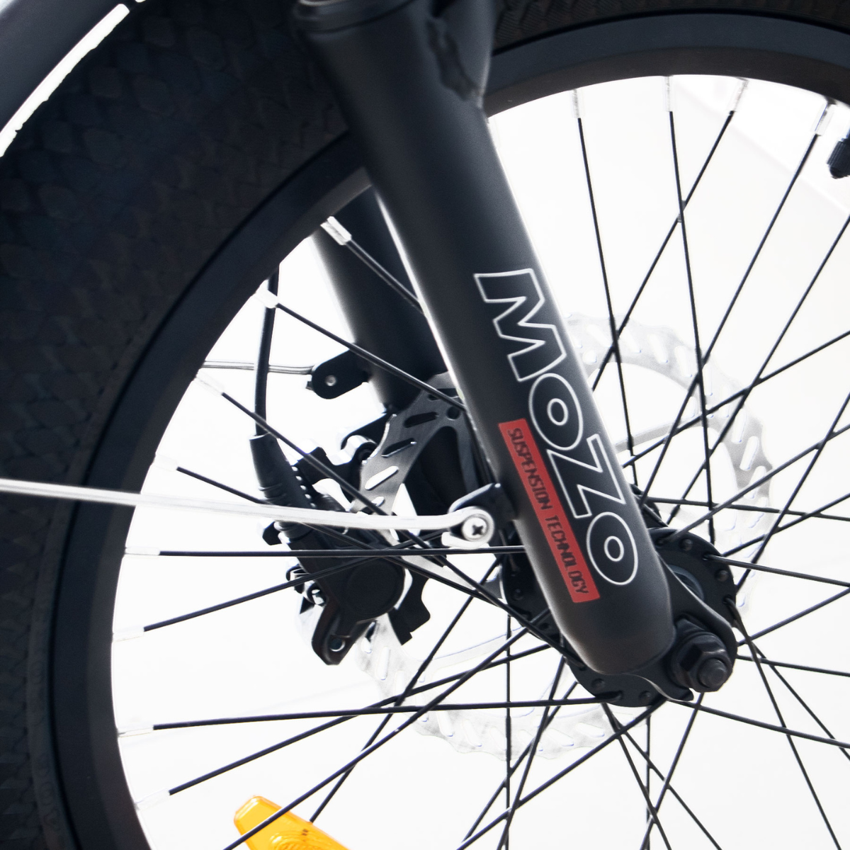 G30 Fat Tyre Cargo E-Bike