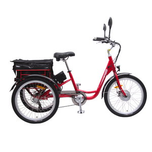 TEBCO Carrier 24" Electric Tricycle