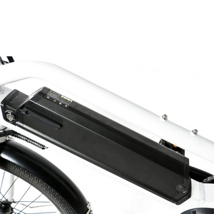 Max Cargo E-Bike