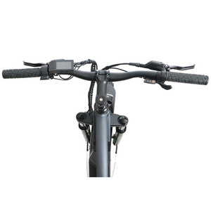 FAT-HD 1000w Mid-Drive Fat Tyre E-Bike