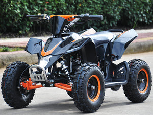 ATV-8E 36v 1000w Lithium Battery